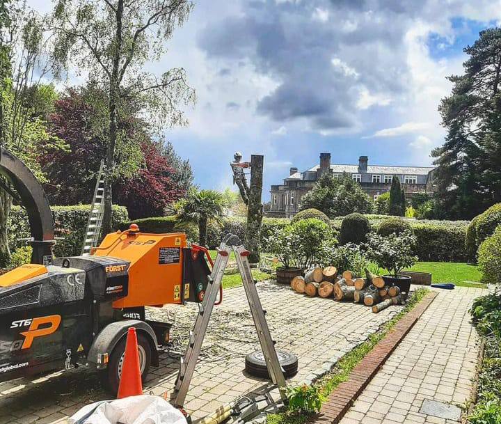 This is a photo of a tree surgeon removing the final section of a large tree from a clients garden. There is also a chipper in the photo.